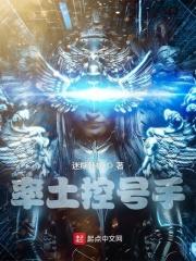 率土控号手停更的原因及影响评价