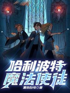 哈利波特之银乱霍格沃茨