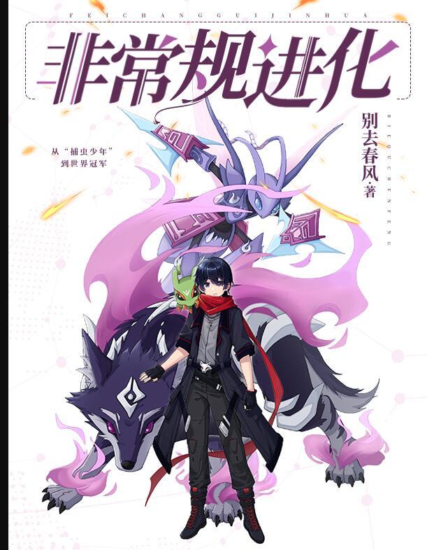 非常规化是什么意思